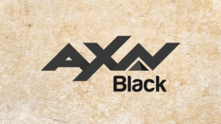 Logo AXN Black