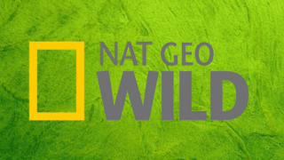 Logo National Geographic Wild