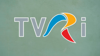 Logo TVR International